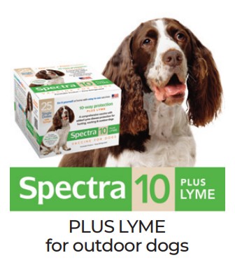 Spectra 10 Plus Lyme